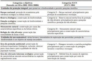 Anexo 1