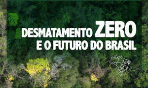 Desmatamento Zero manifesto