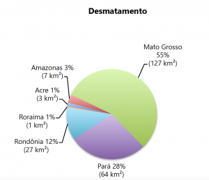 Figura 3