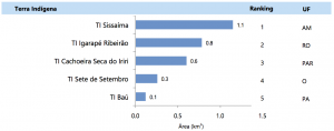 Figura 7