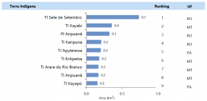 Figura 7