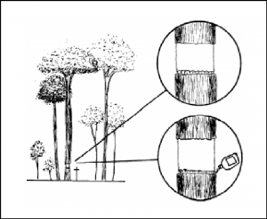 cap10