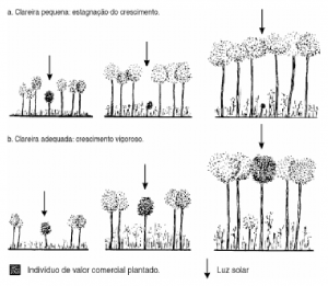 cap10_fig1_Crescimento