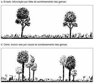 cap10_fig3_Limpeza