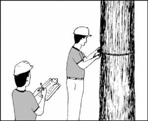 cap2