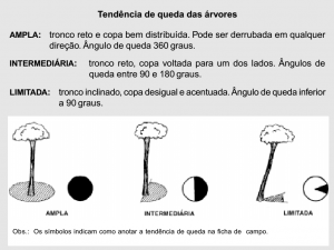 cap2_fig11_Avaliacao