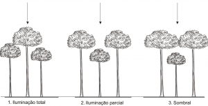 cap2_fig13_Classes