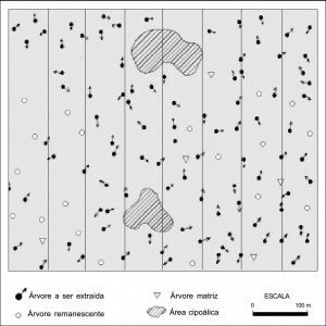 cap2_fig15_ElaboracaoMapa