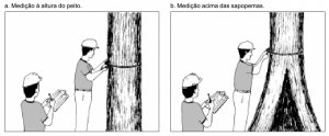 cap2_fig5_Medicao