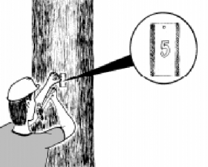 cap2_fig6_PlaquetaAluminio