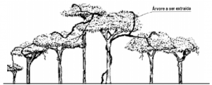 cap3_fig1-A