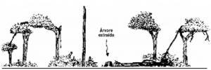 cap3_fig1-B