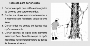 cap3_fig3_Tecnicas