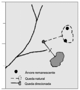 cap4_fig5_Queda