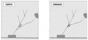 cap4_fig8_Planejamento
