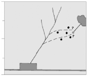 cap4_fig9_Arraste