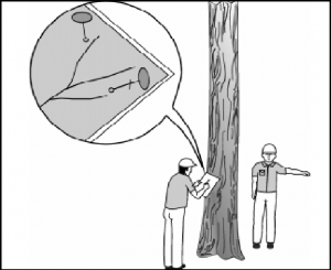 cap5