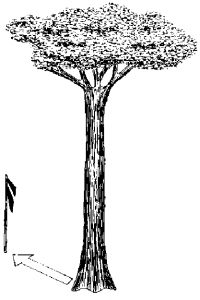 cap5_fig7_IndicacaoQueda