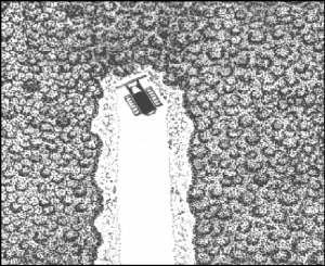 cap6
