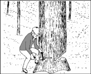 cap7