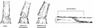 cap7_fig13_Desperdicio