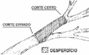 cap7_fig15_Erro