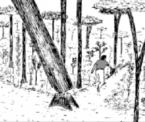 cap7_fig17_Caminho