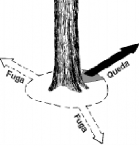 cap7_fig1_Caminho