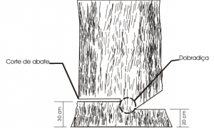 cap7_fig2_TecnicaCorte