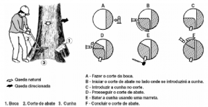 cap7_fig3_UsodaCunha
