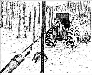 cap8