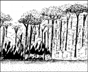 cap9