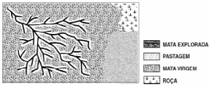 cap9_fig1_Mosaico