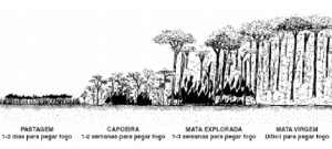 cap9_fig2_Comportamento