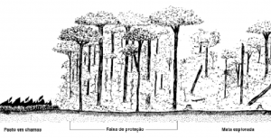 cap9_fig4_Quebra-fogo