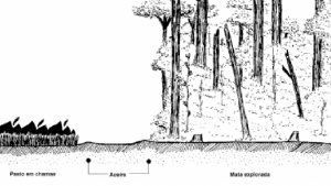 cap9_fig5_UsodeAceiro