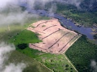 challenges_for_the_environmental