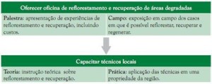 comoestimularorefloresmento