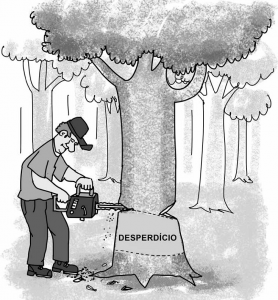 desperdicio