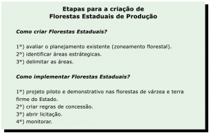 etapas