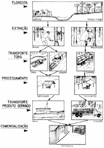 fig10_TiposdeExtracao