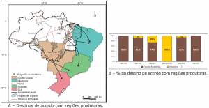 fig_10_destinos
