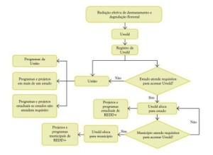 figura10 (3)