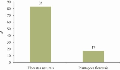 figura17 (2)