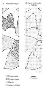 figura2 (1)