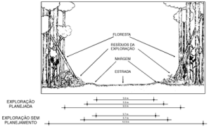 figura2 (1)