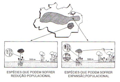 figura2