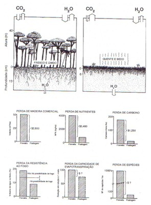 figura3