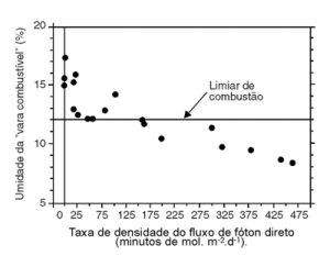 figura5 (1)