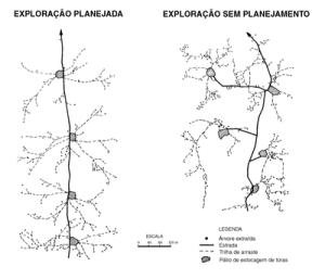 figura5 (1)